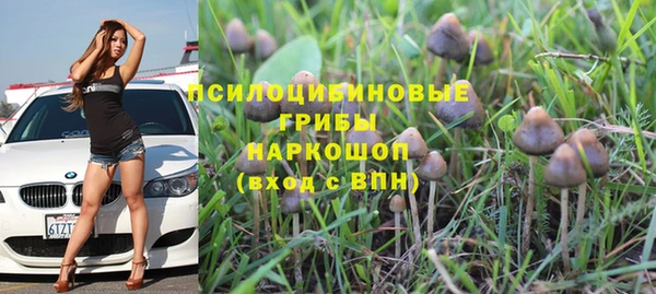 скорость mdpv Каменногорск