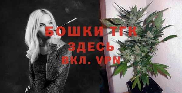 2c-b Каменка