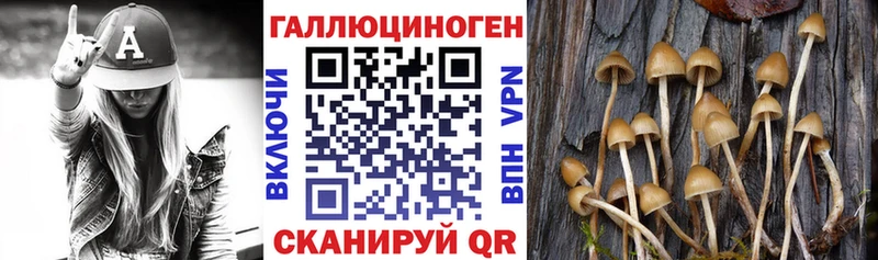 Купить где  Верхоянск  Галлюциногенные грибы мухоморы 